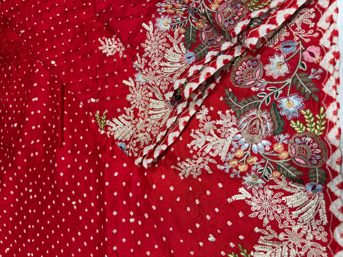 Chilli Red Banarasi Bandhej Saree with heavy embroidered border  — Image 6