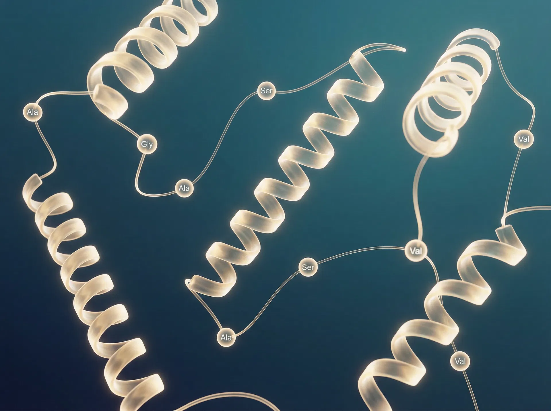 Aminosäuren und Proteinstrukturen