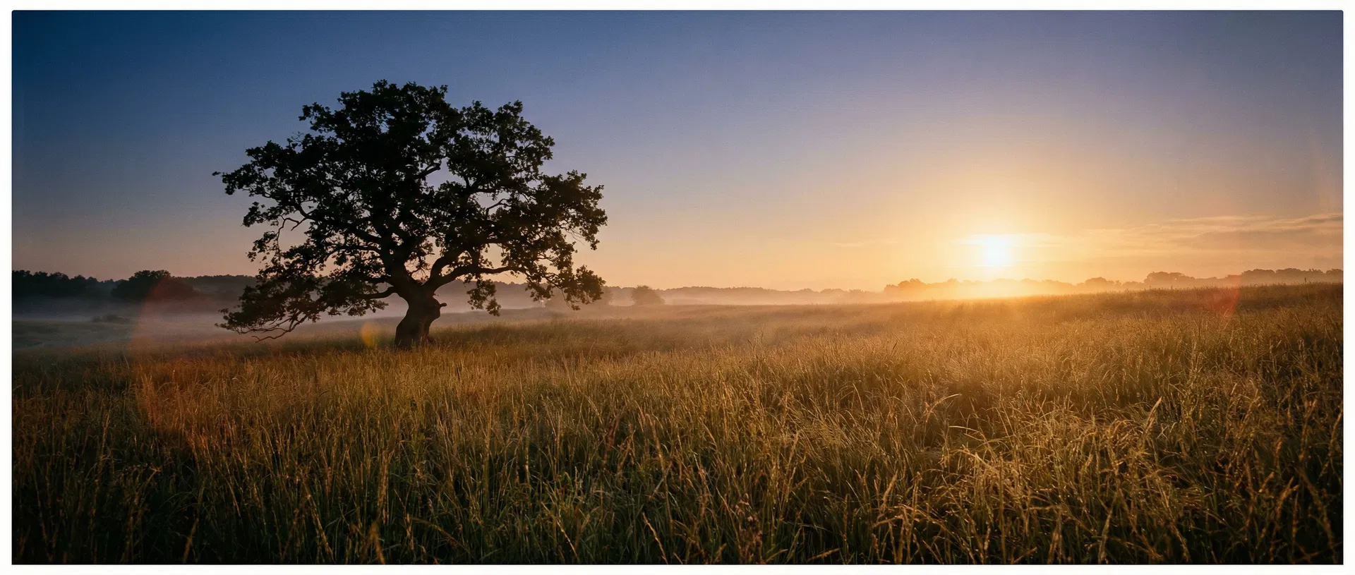 Sunrise over a peaceful field — symbolizing a new beginning