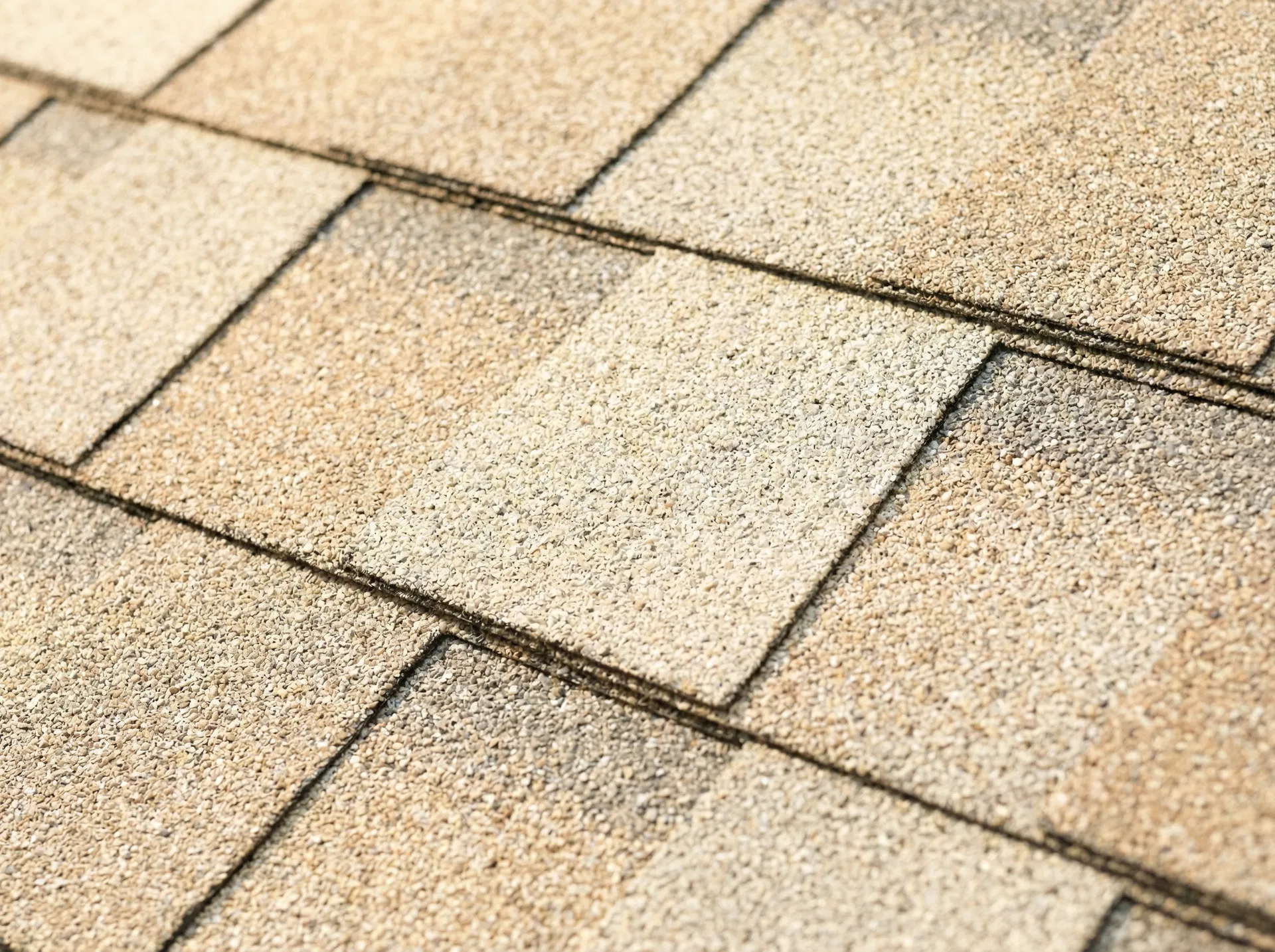 Birchwood shingle swatch