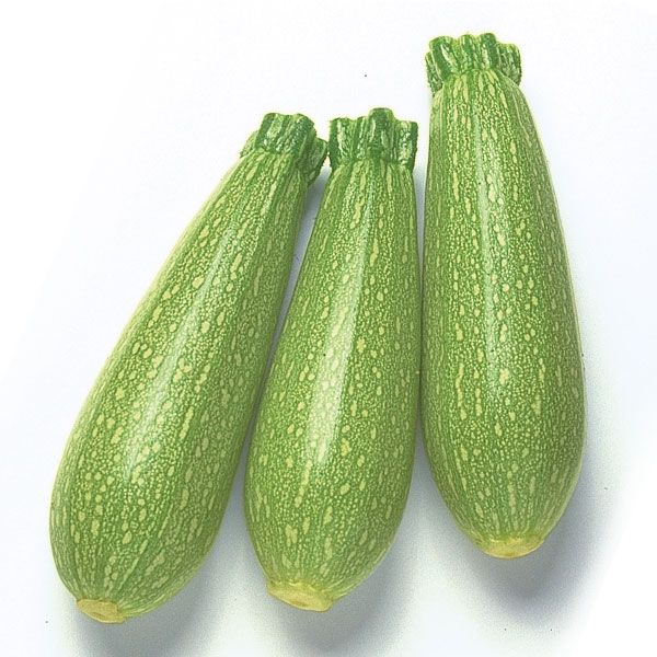 كوسا