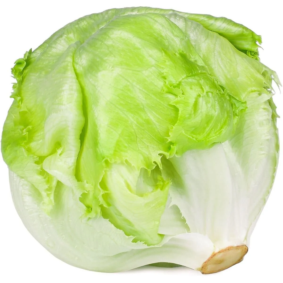 خس ايسبرج