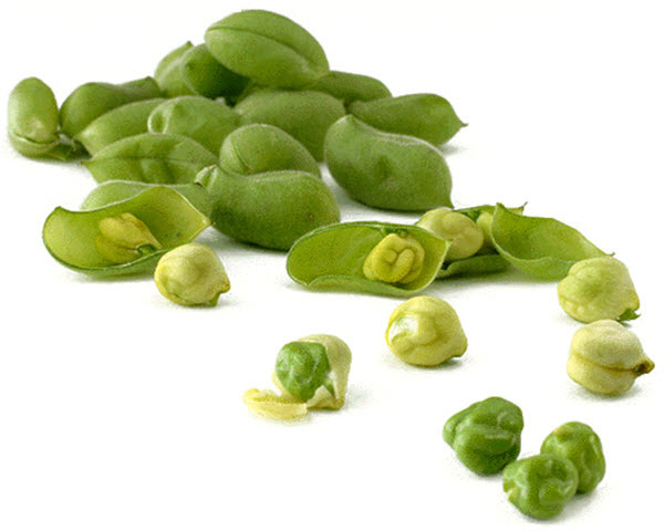 حاملة