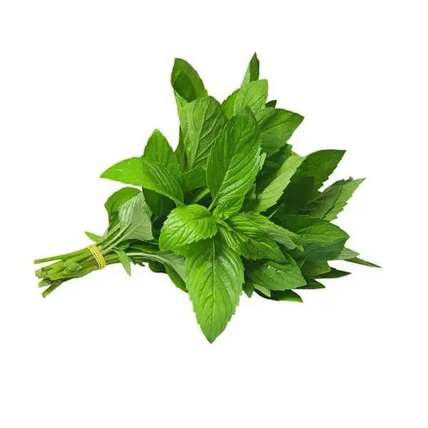 نعنع