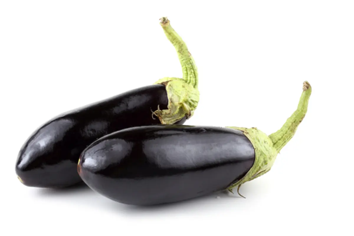اسود كبير