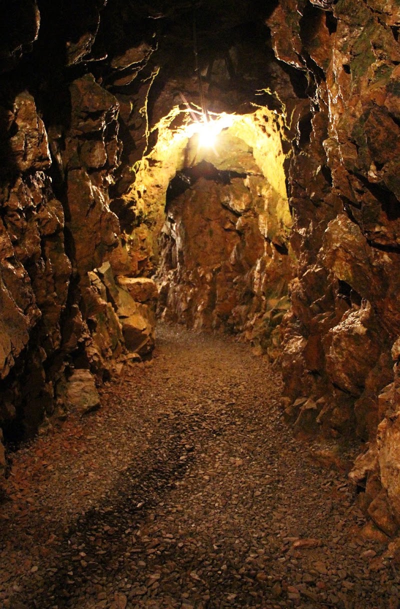 Reed Gold Mine