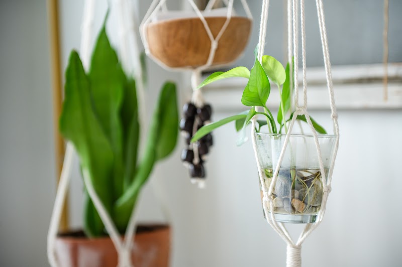 Feel Better Yoga South End/Dilworth