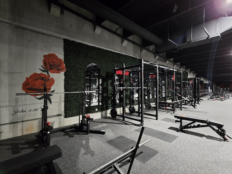 Bucked Up Fitness Queen City