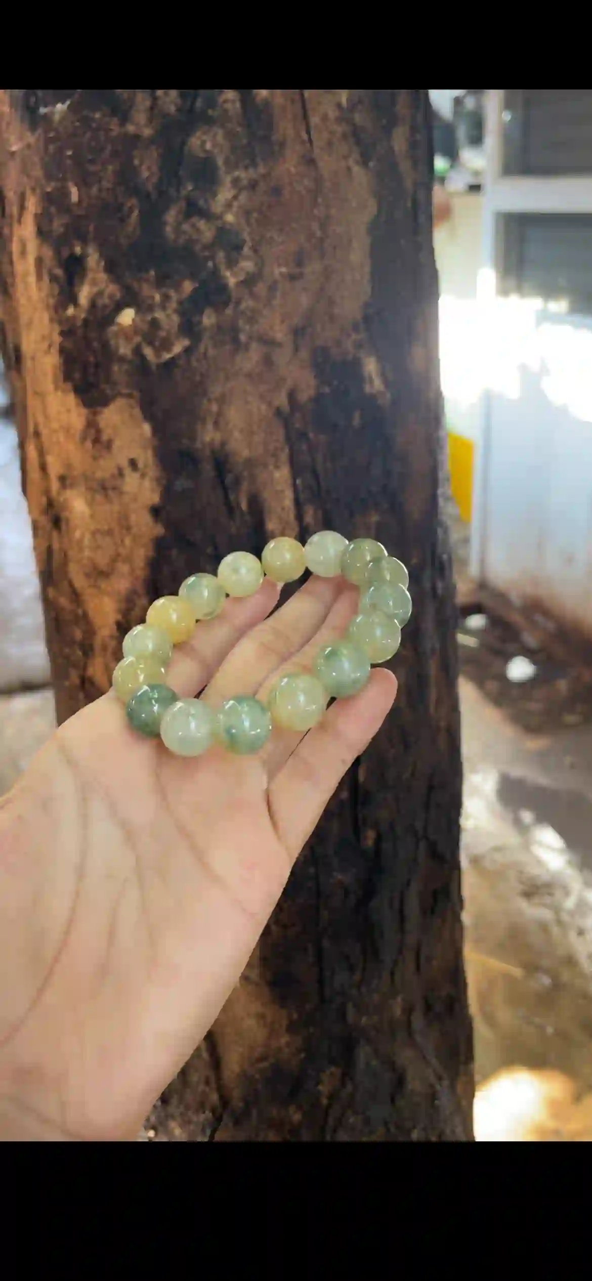 Natural Multi-Tone Jadeite Beaded Bracelet, Icy Green & Golden Yellow Jade Beads | Myanmar Jadeite reference #29760001