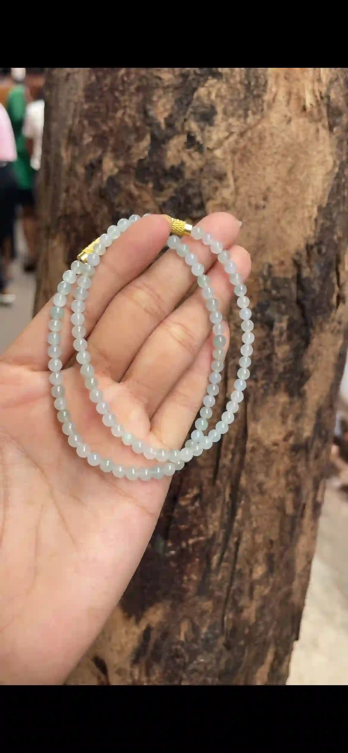 Uniform Icy Pale Celadon Jadeite Multi‑Wrap Strand with Gold Clasp | Myanmar Jadeite reference #9330002