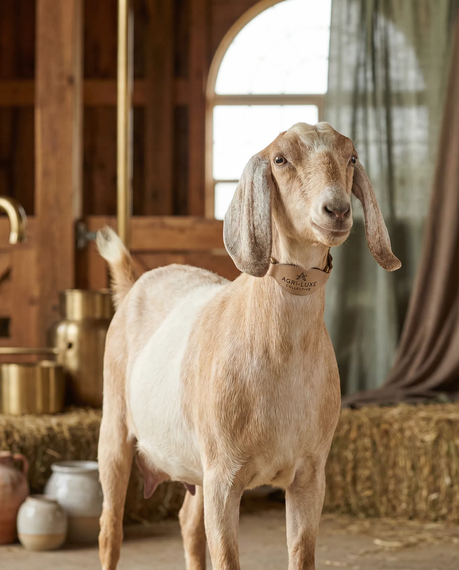 Козы Шерь Козу