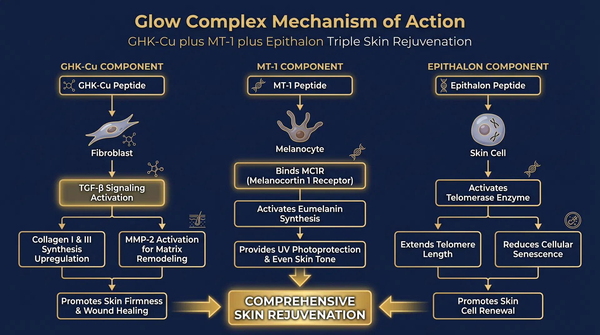 Glow Complex mechanism of action diagram — Triple-Action Regenerative & Anti-Aging Stack