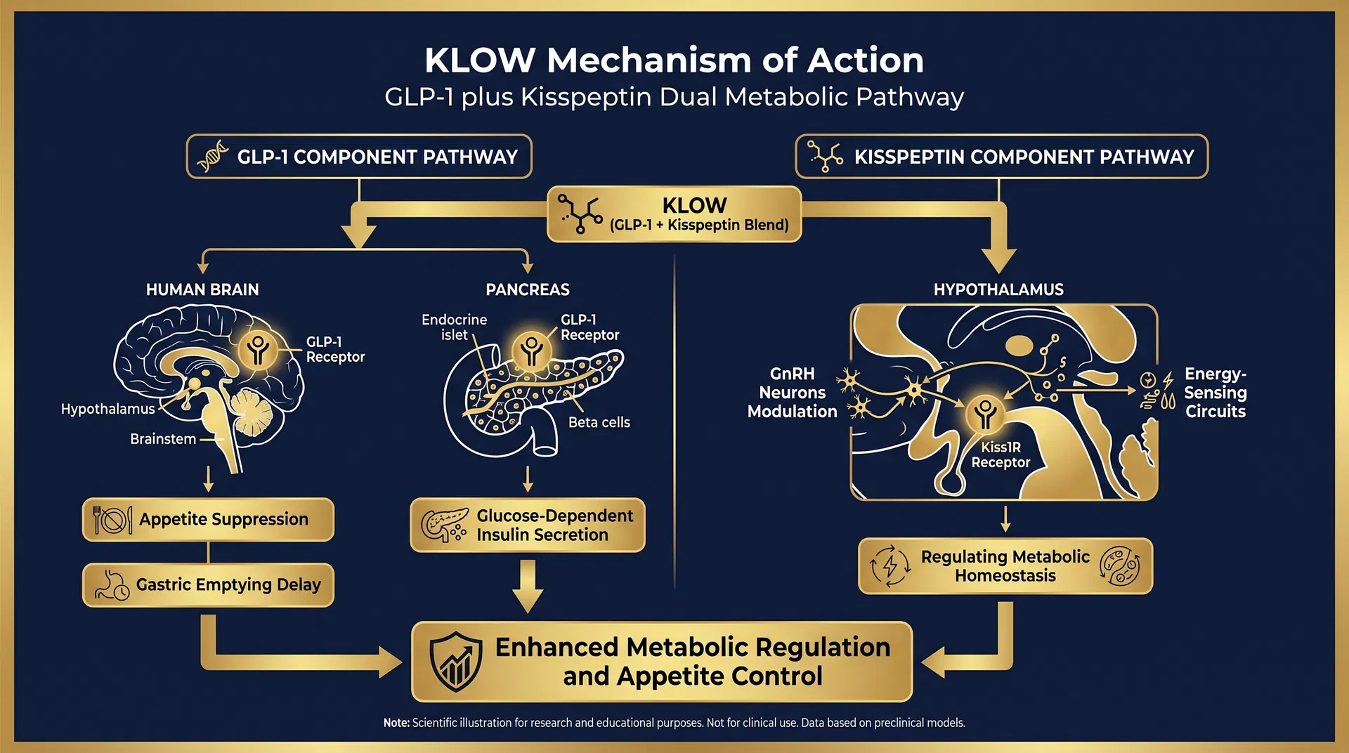 KLOW mechanism of action diagram — GPR54 Agonism & Neuroendocrine Axis Regulation