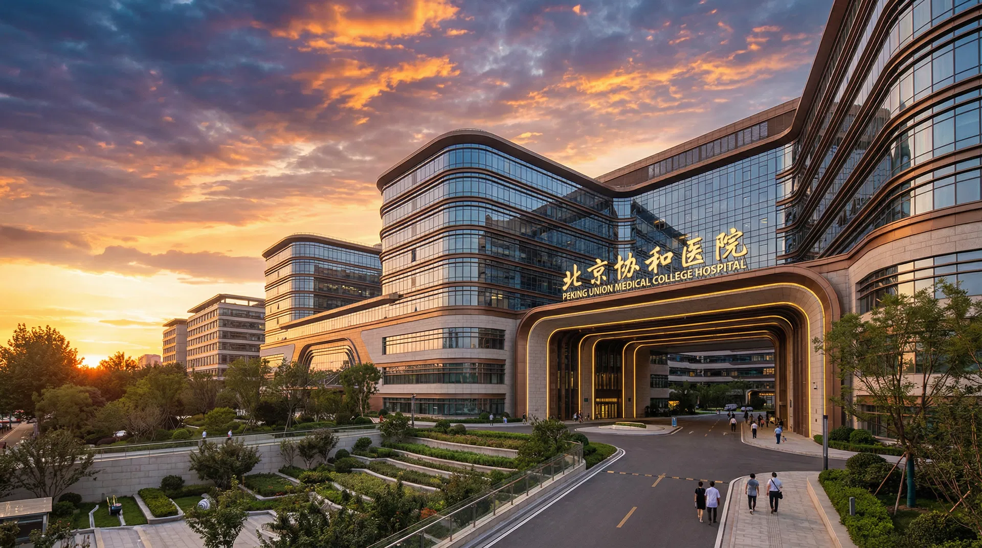 Western Medicine Specialists