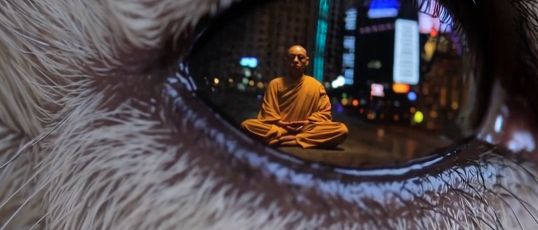 A meditating monk in saffron robes reflected inside a large animal eye, city lights behind him