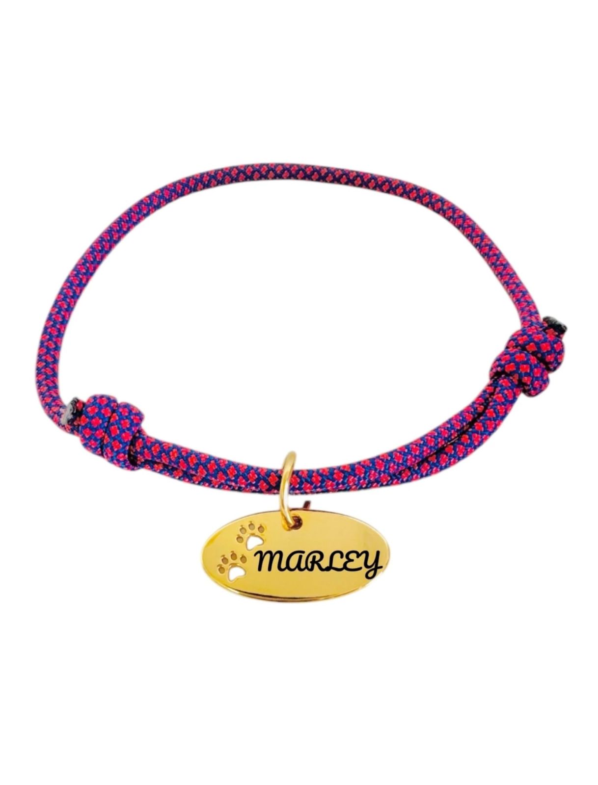 Coleira Personalizada Para Cães