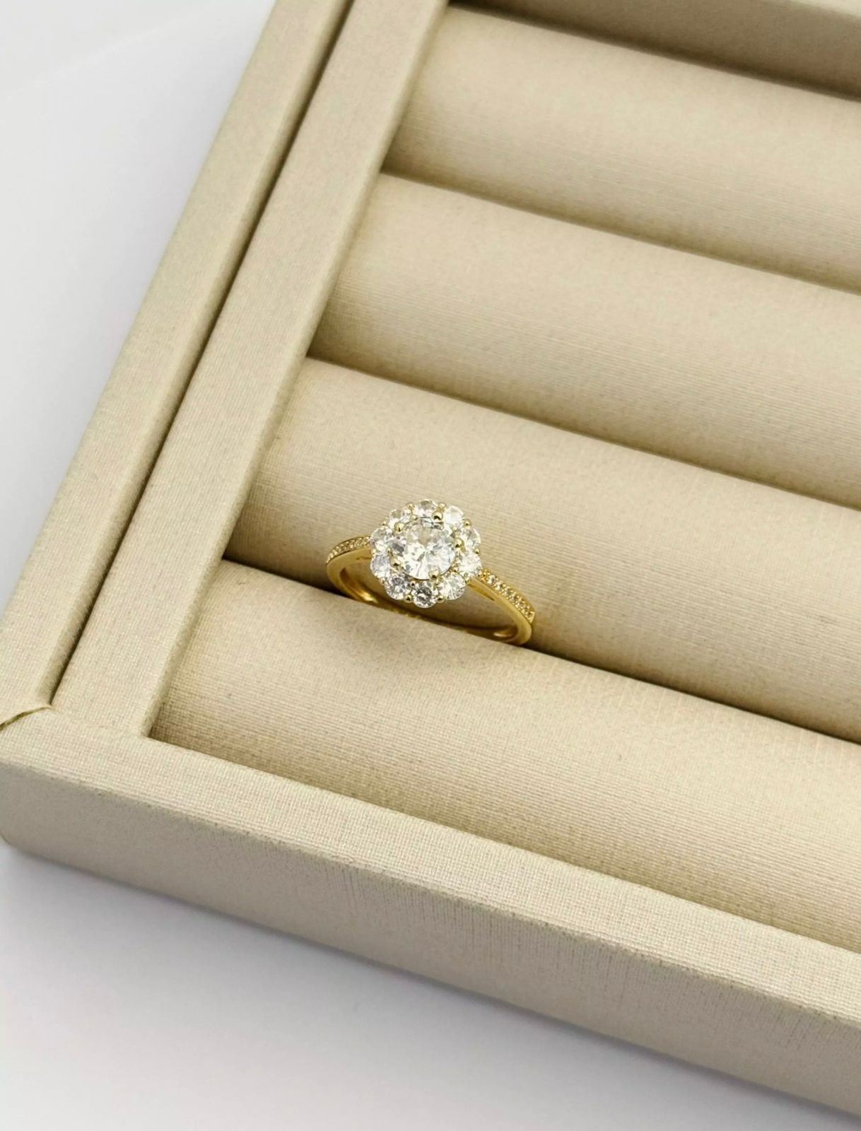 Anel Duplo Cravejado