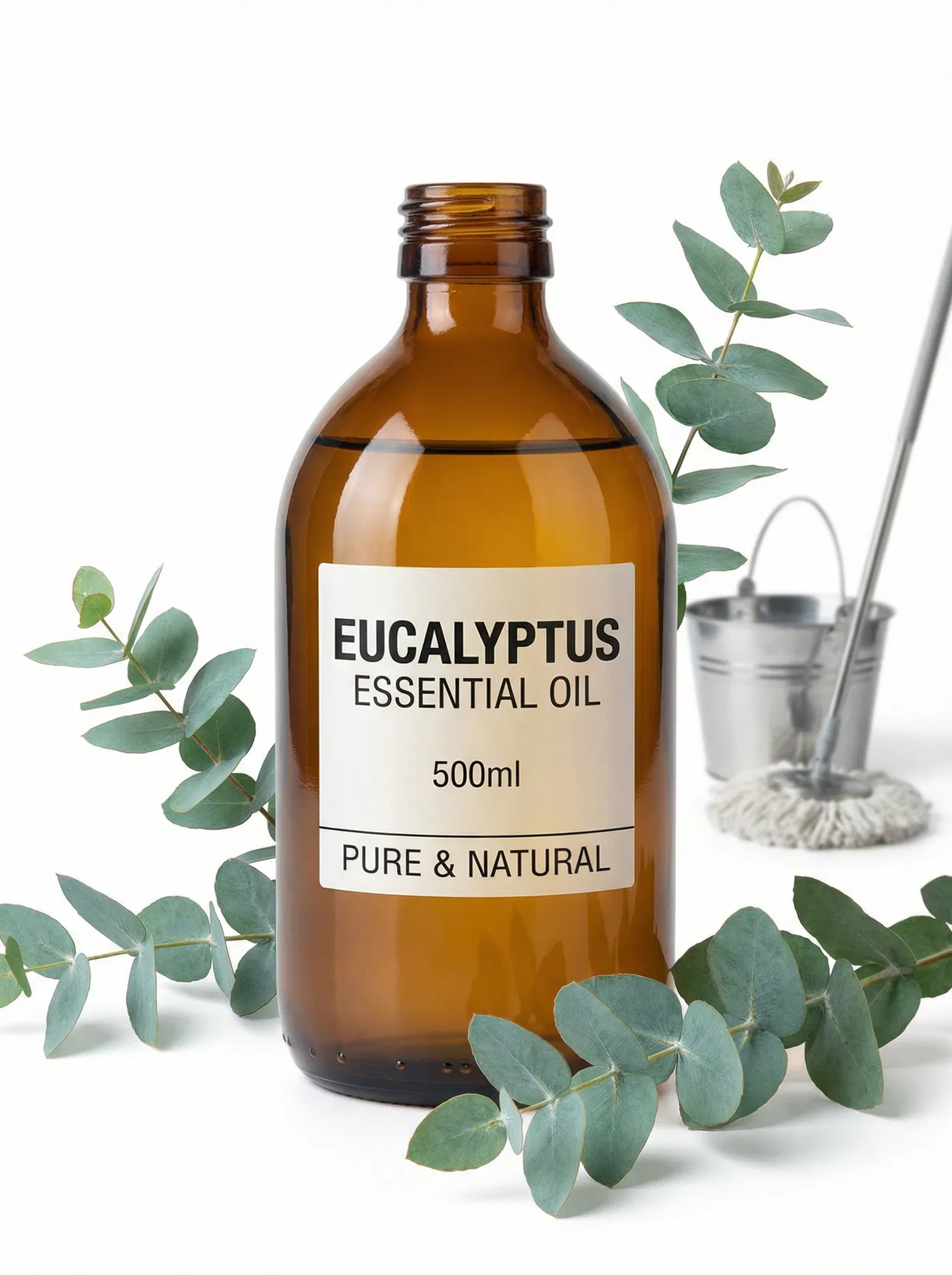 Big Eucalyptus (Globulus)