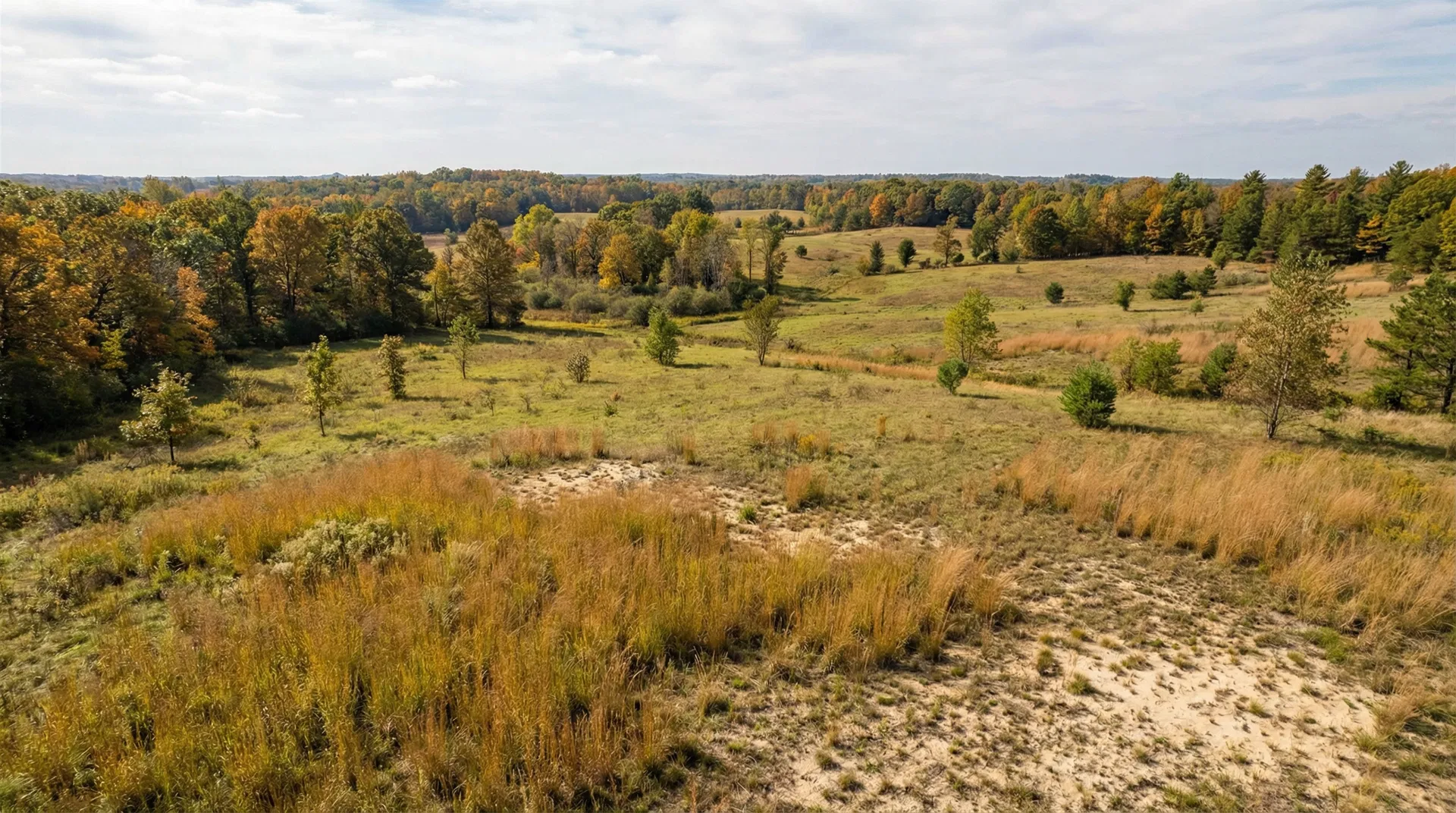 25 Acres in Allegan County, MI