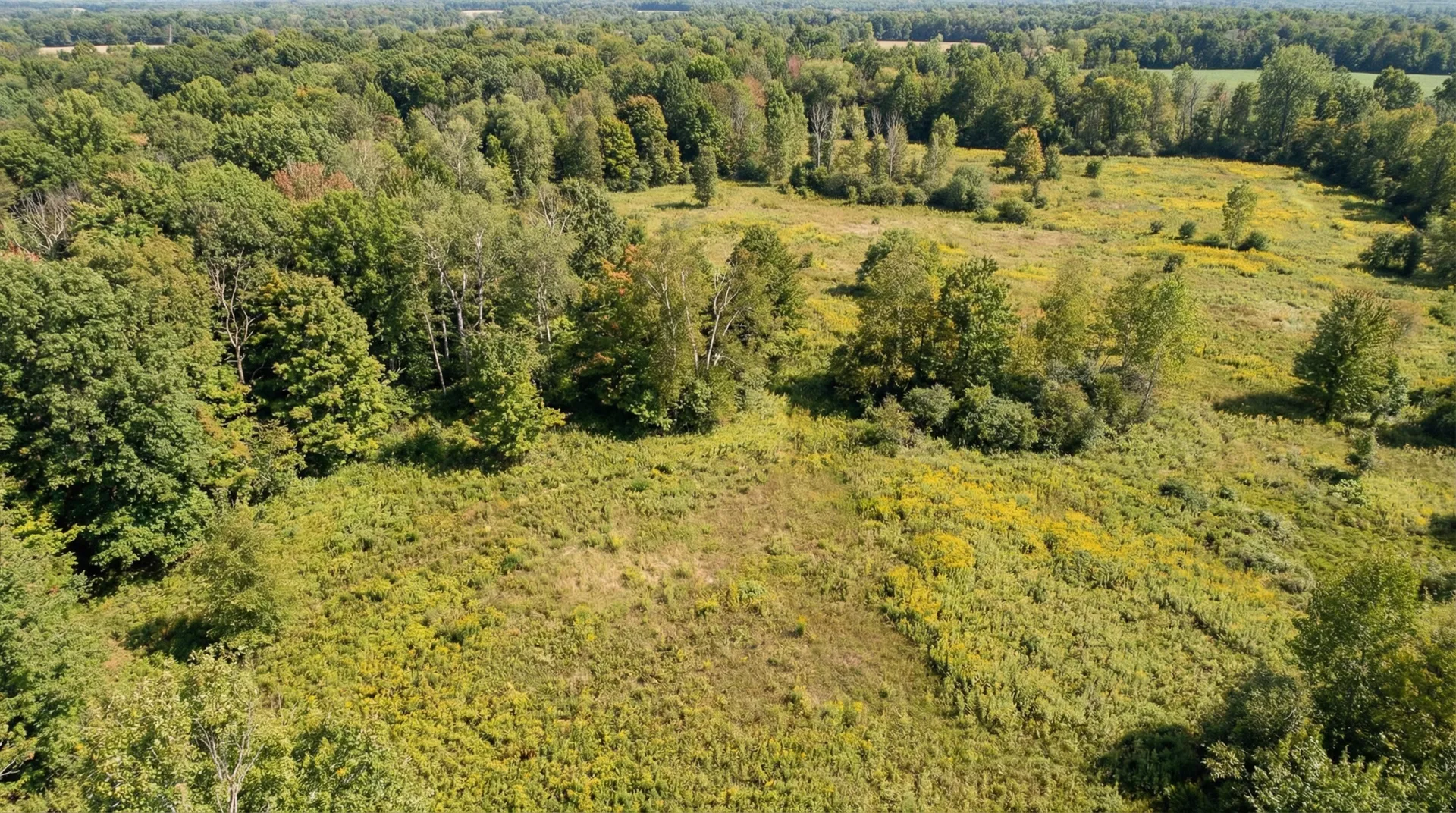 20.916 Acres in Ashtabula County, OH