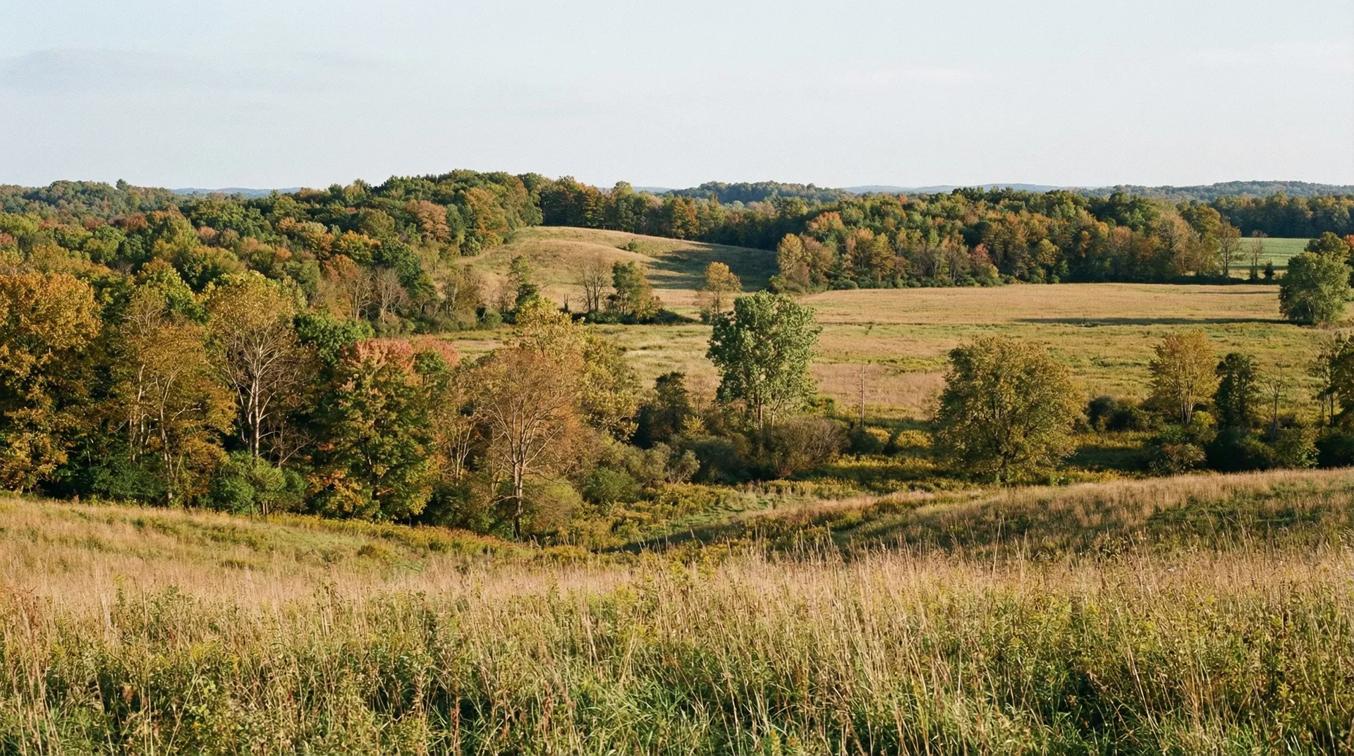 19.332 Acres in Ashtabula County, OH