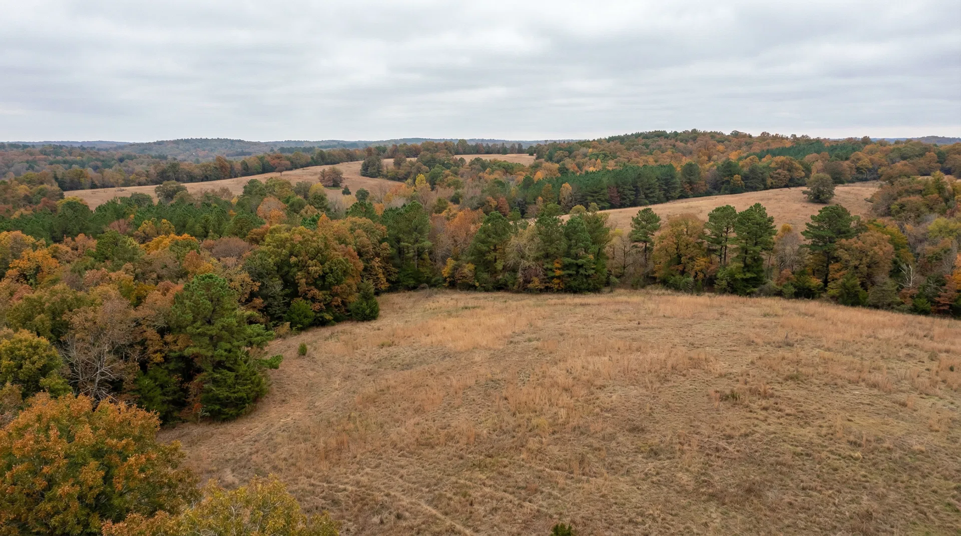 20 Acres in Atoka County, OK