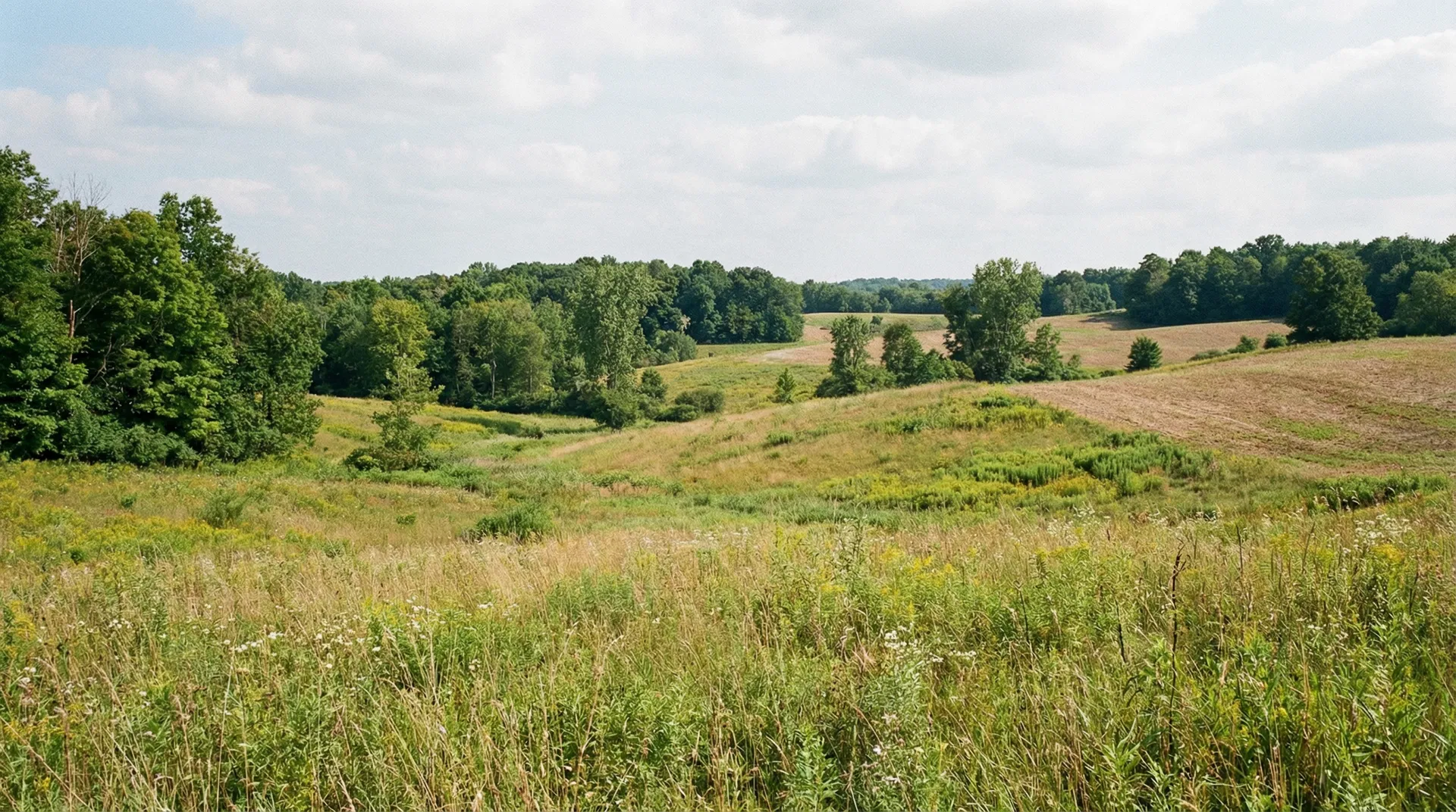 16 Acres in Berrien County, MI