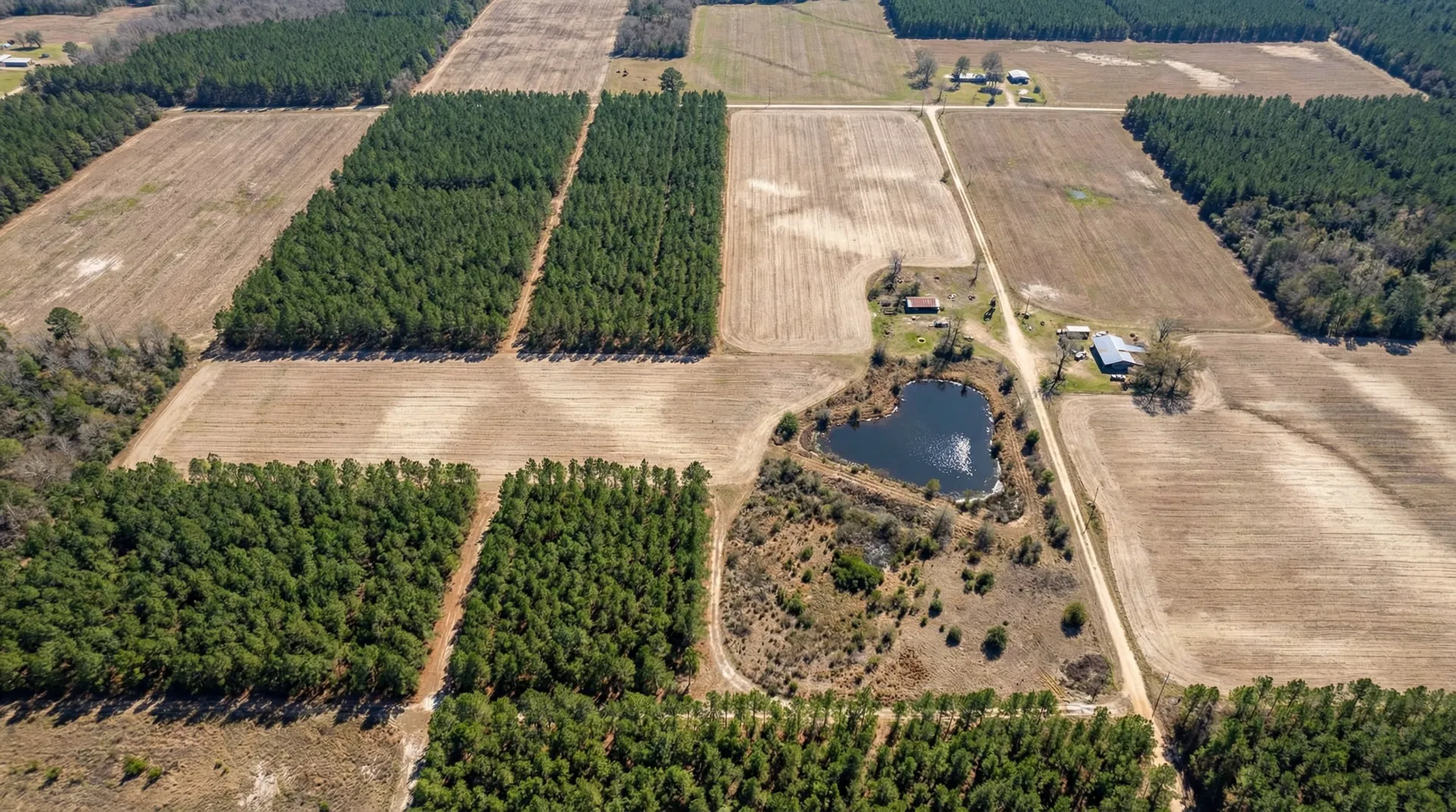 99.5 Acres – Bulloch County, Georgia