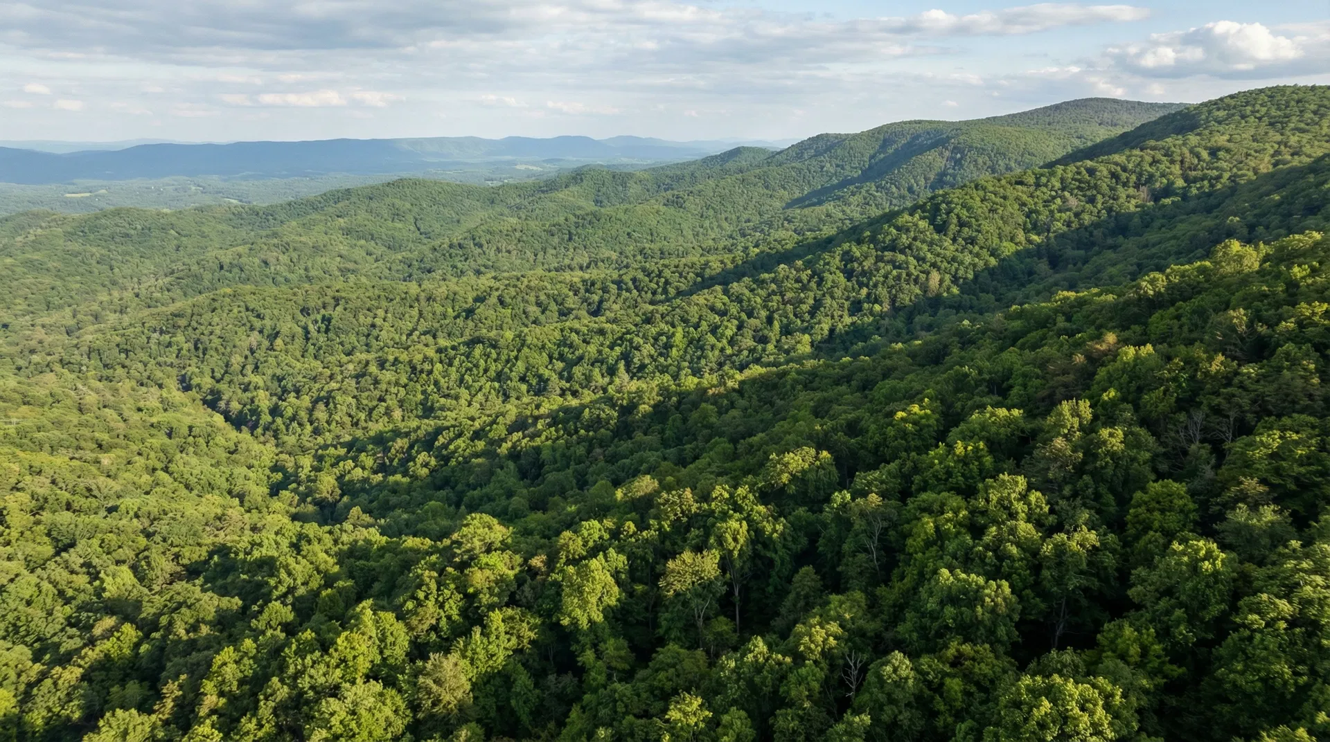 24.2 Acres in Buncombe County, NC