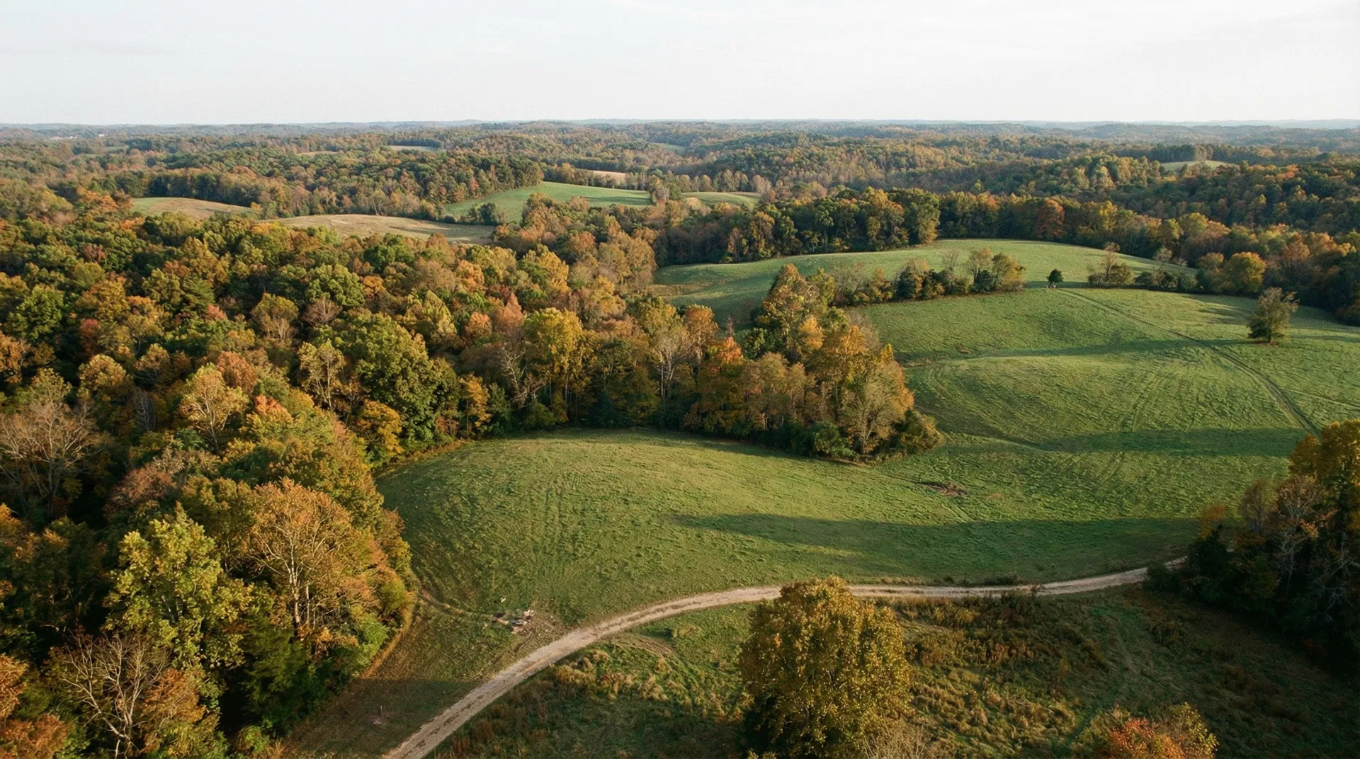 24 Acres in Carroll County, TN