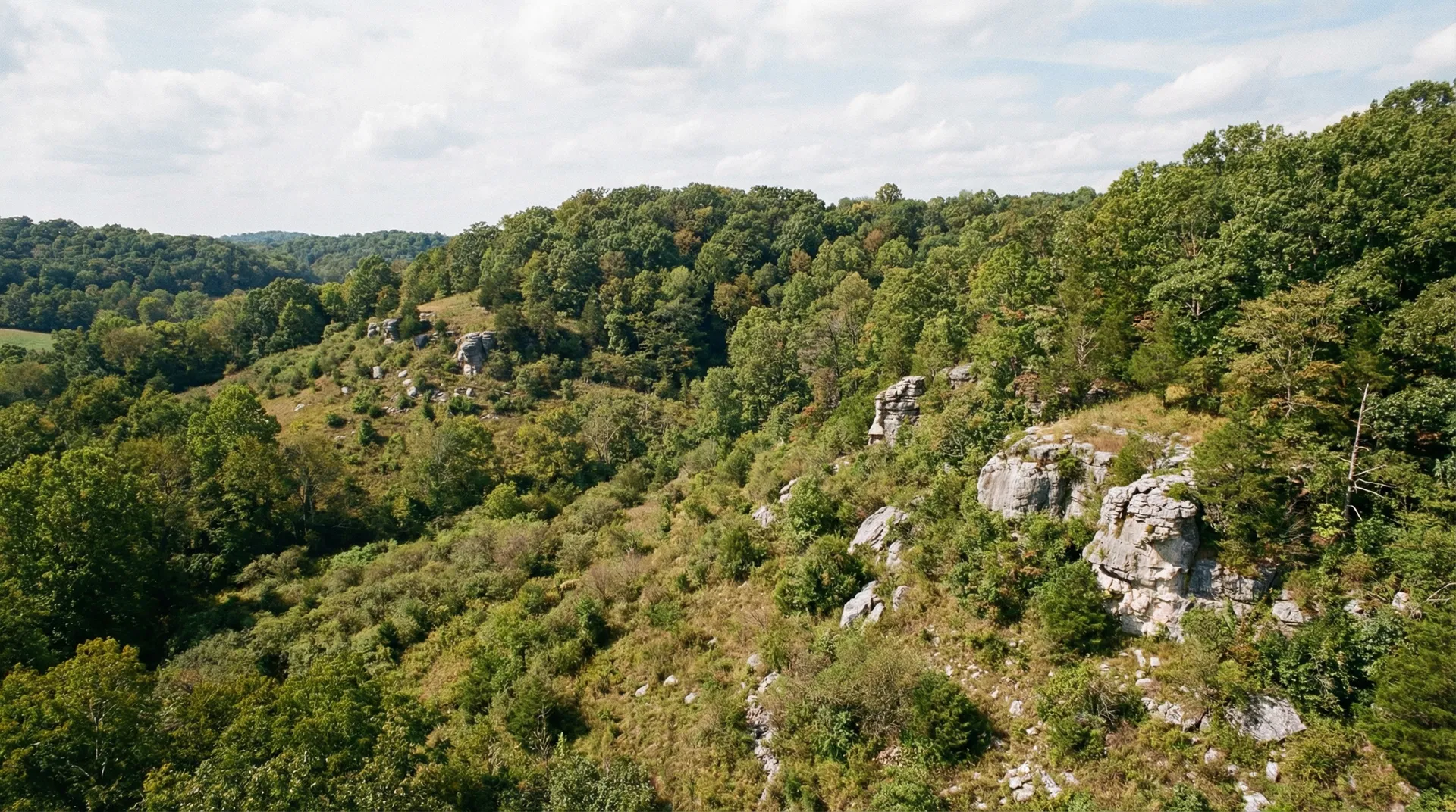 18.2 Acres in Cheatham County, TN