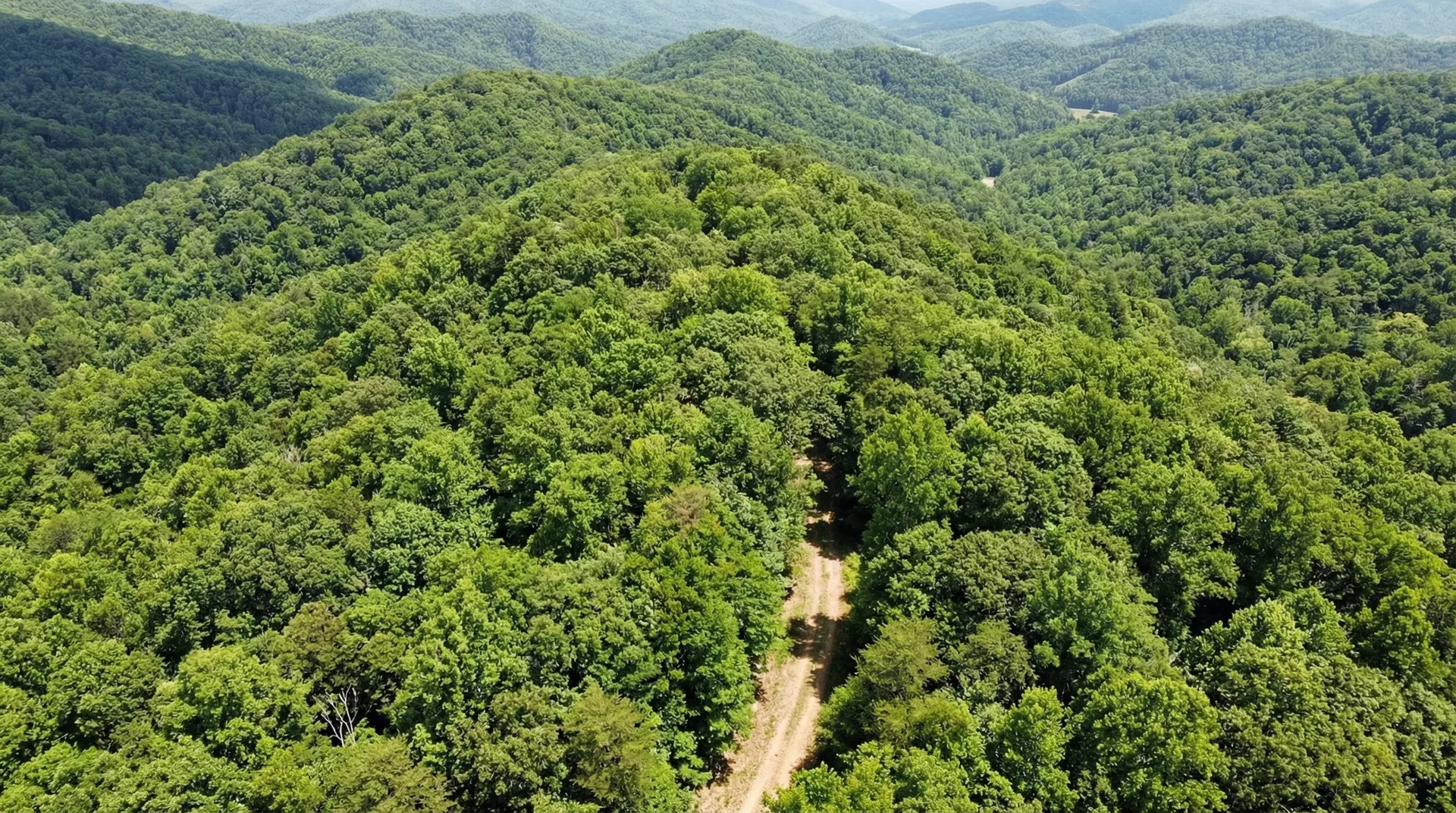 21.4 Acres in Cherokee County, NC
