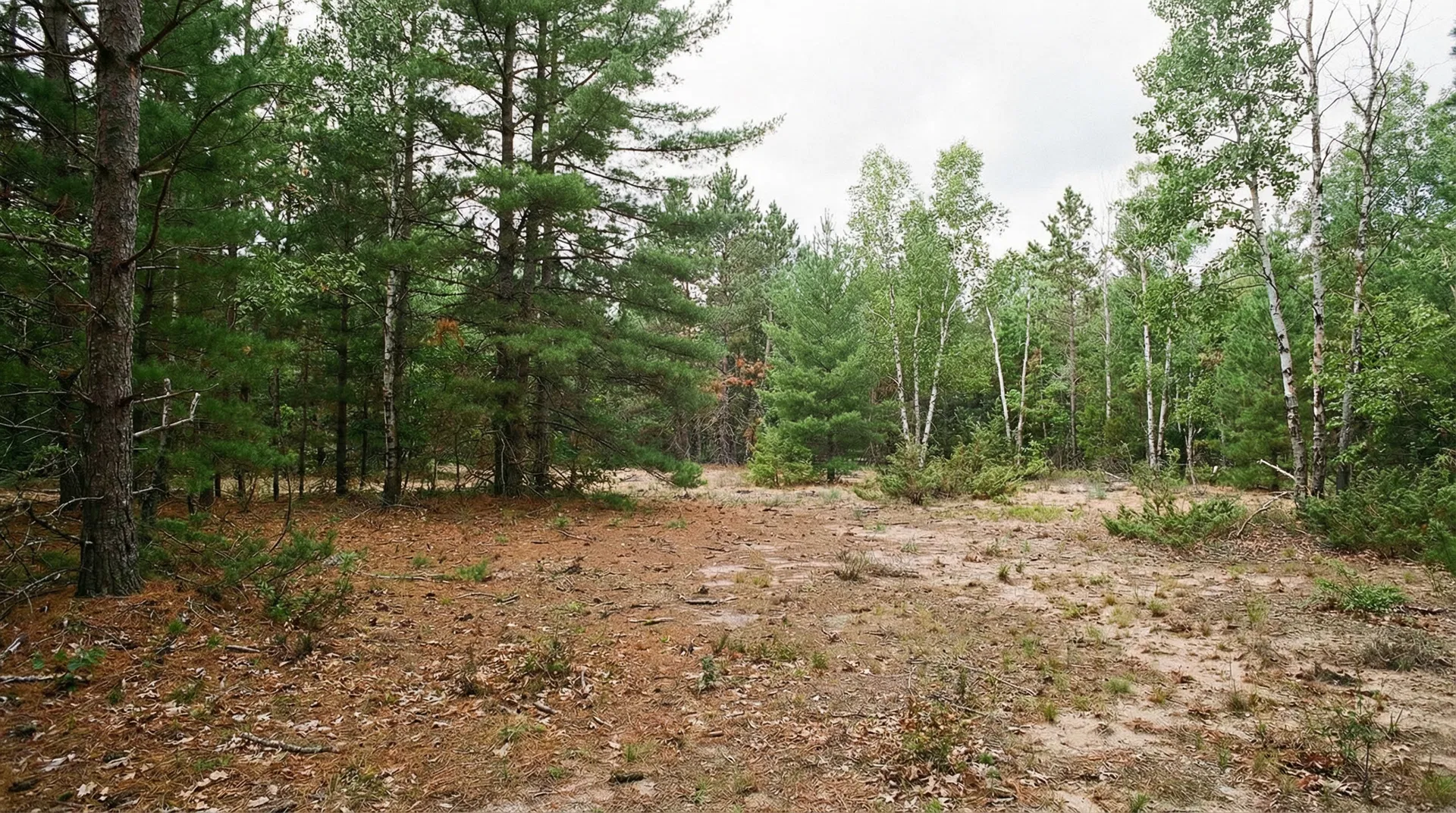 17.5 Acres in Chippewa County, MI