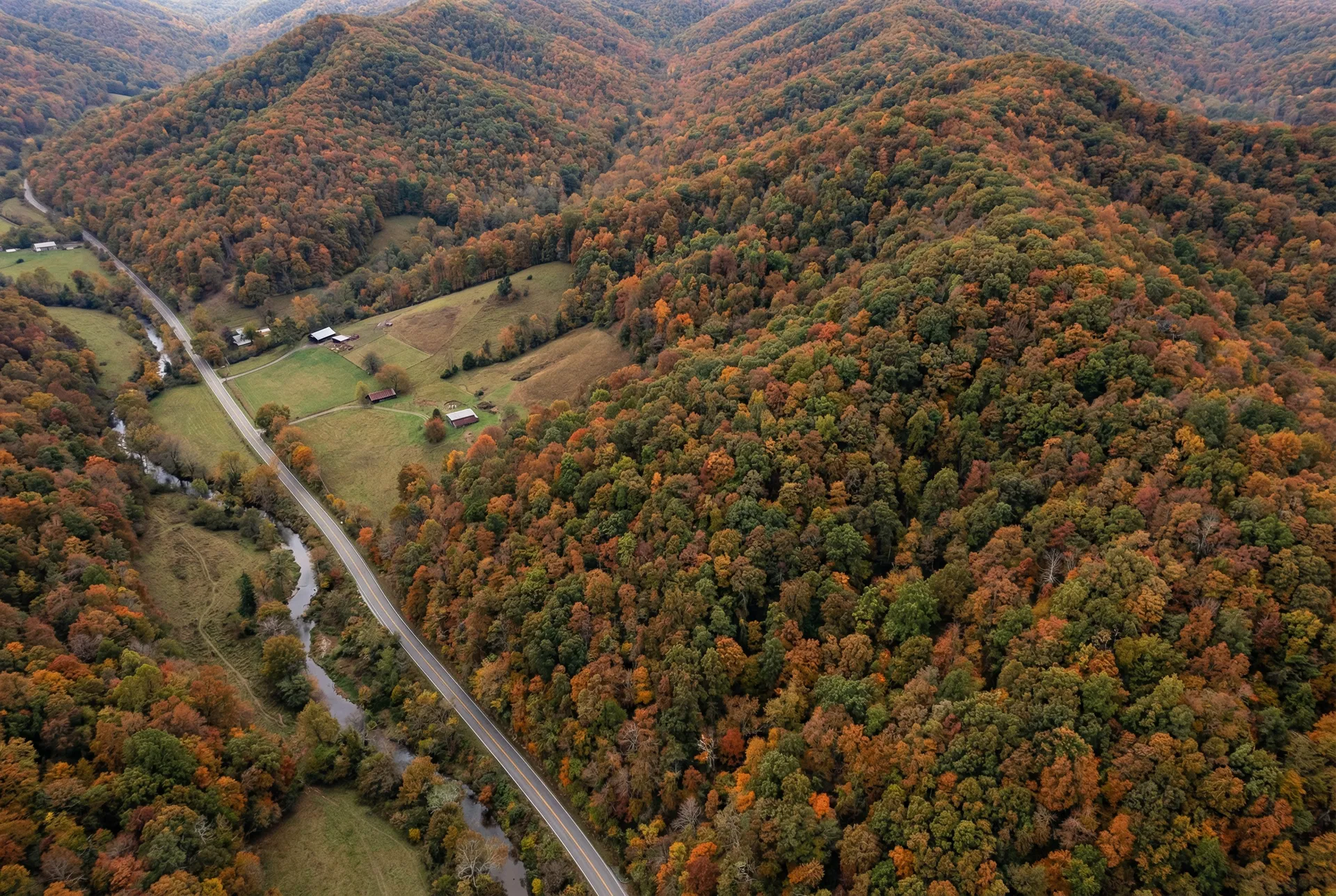 40.5 Acres – Claiborne County, Tennessee