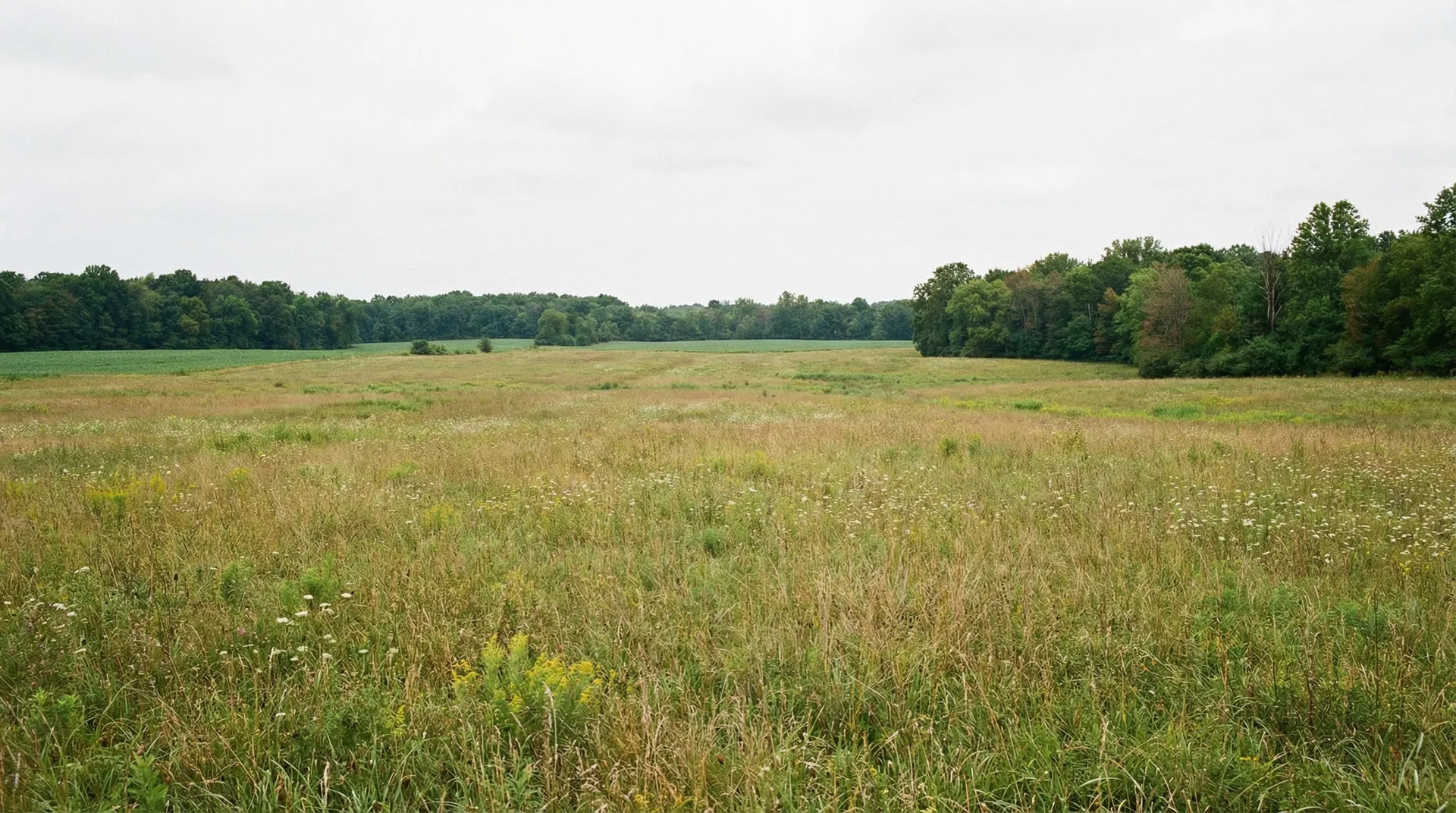 20.65 Acres in Clark County, OH