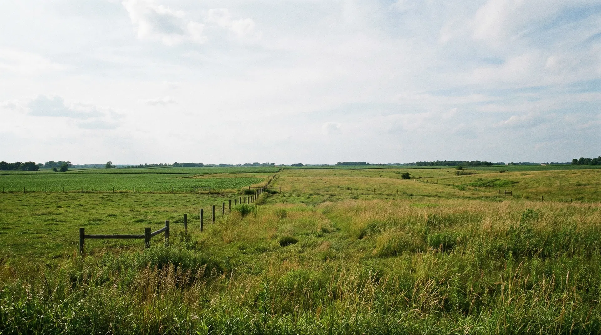 27.5 Acres in Clinton County, OH