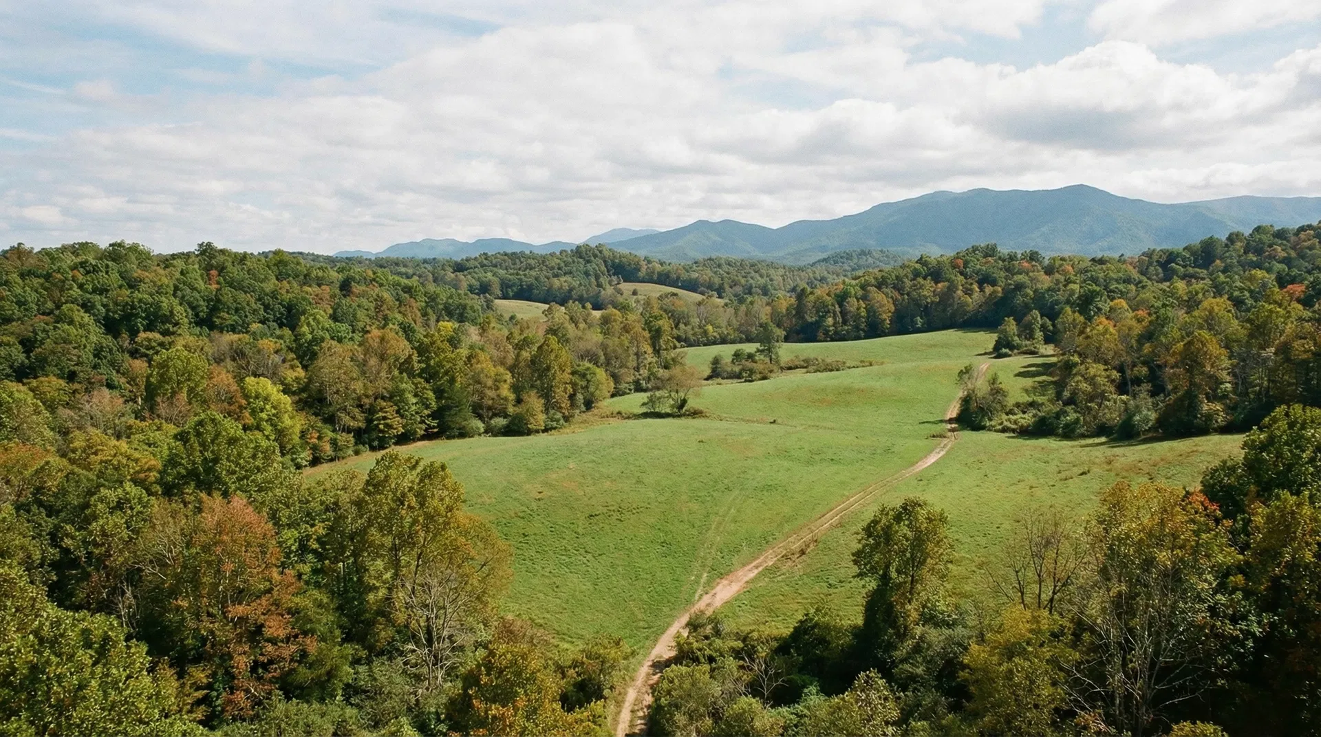 23 Acres in Cocke County, TN