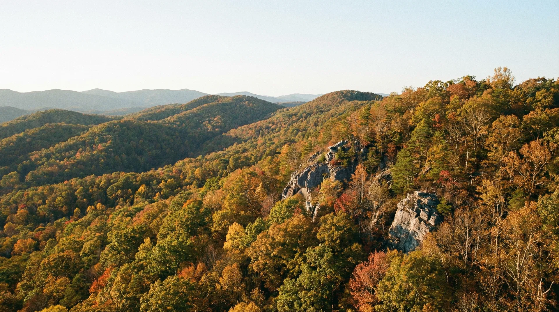 17.35 Acres in Cocke County, TN