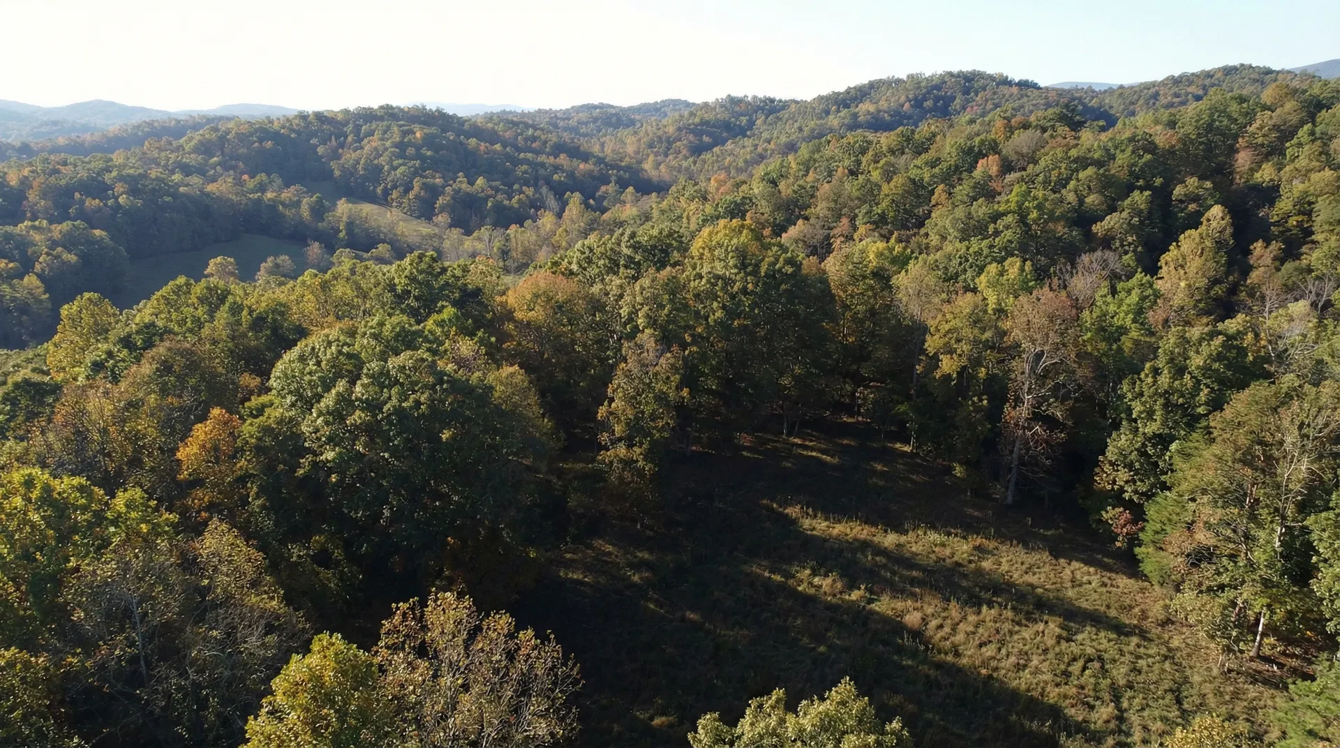 16 Acres in Cocke County, TN