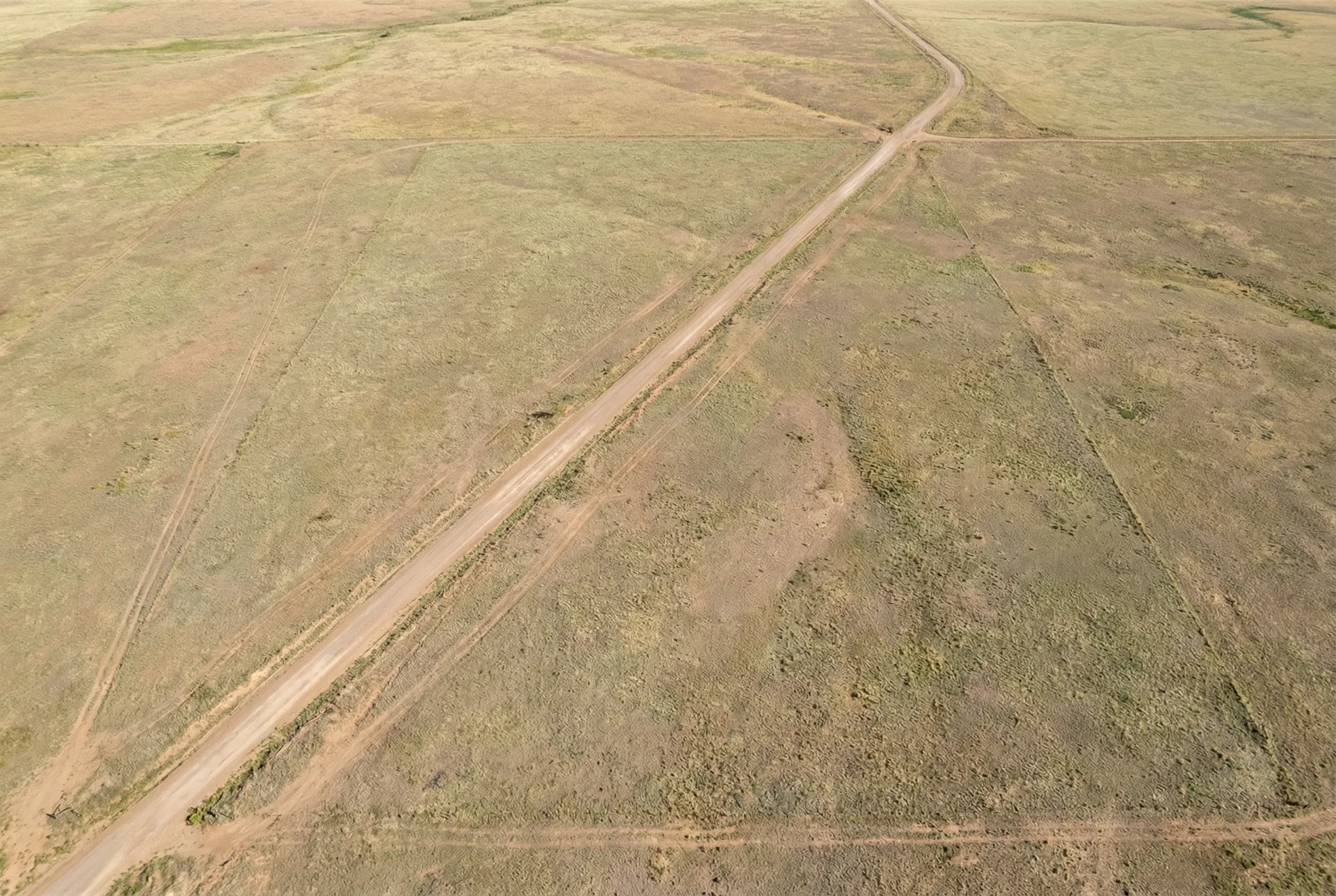 39.72 Acres – Curry County, New Mexico