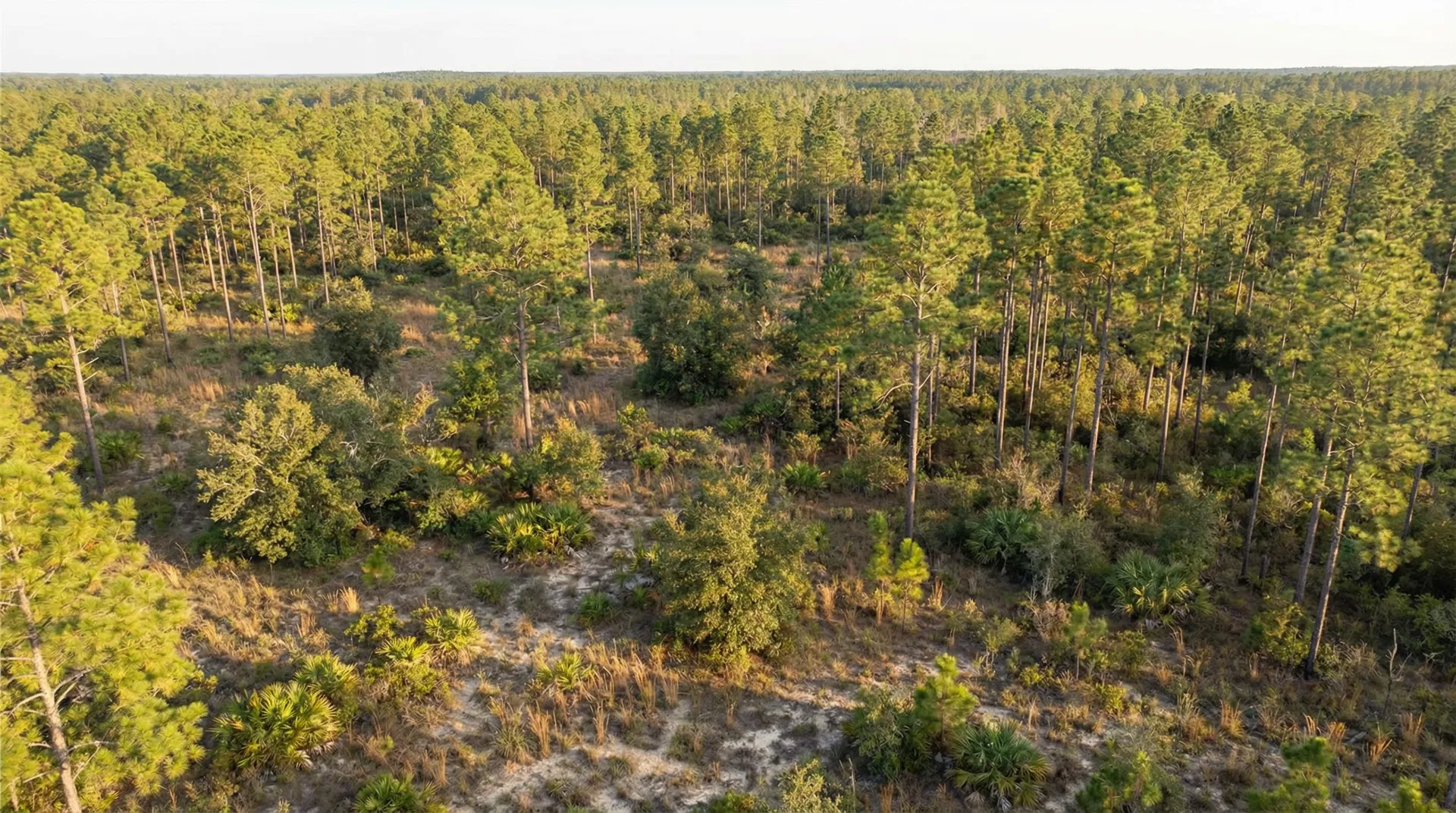 20 Acres in Decatur County, GA