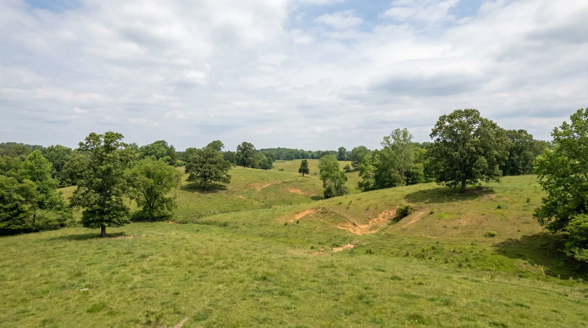 27.29 Acres in Decatur County, TN