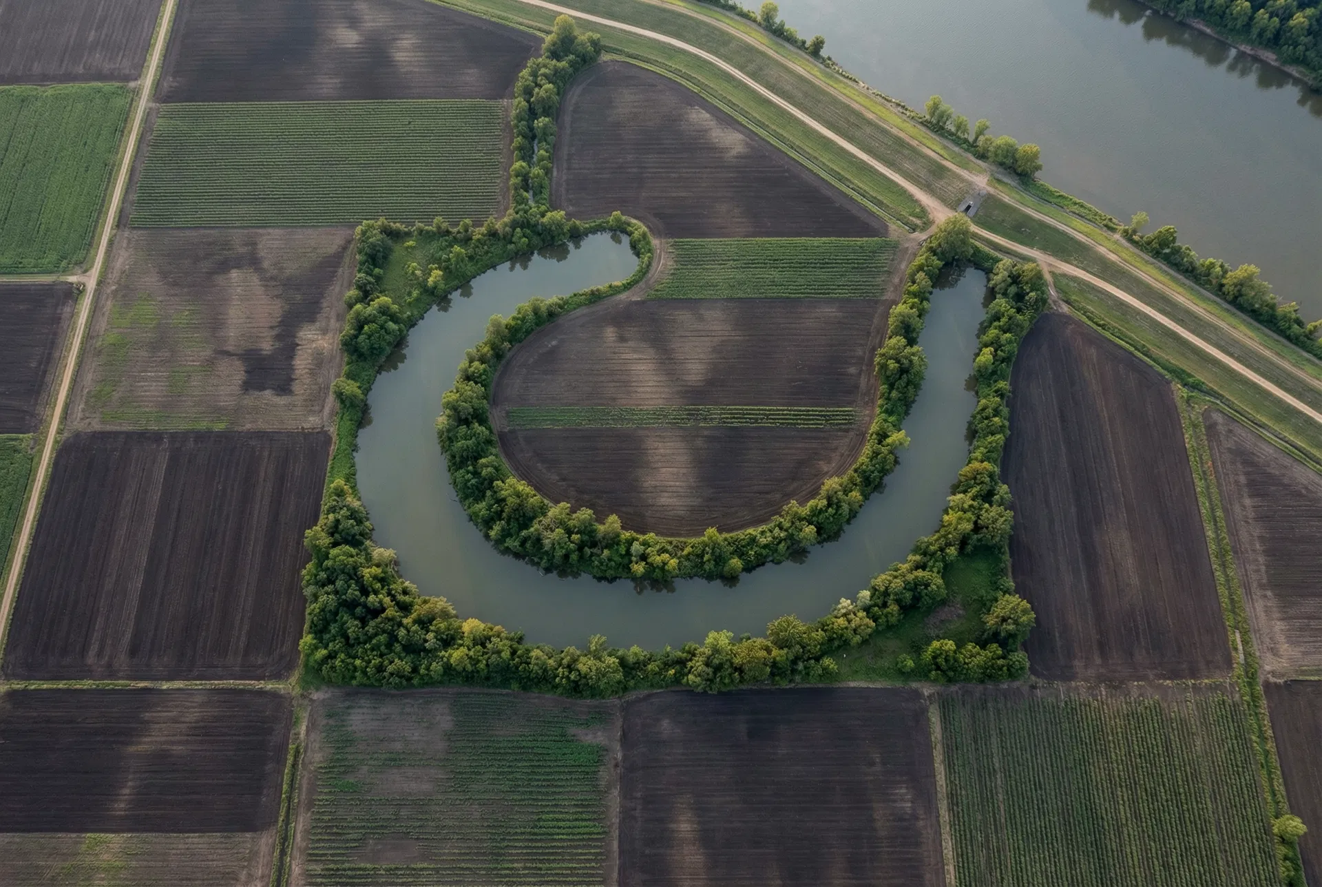 32 Acres – Desha County, Arkansas