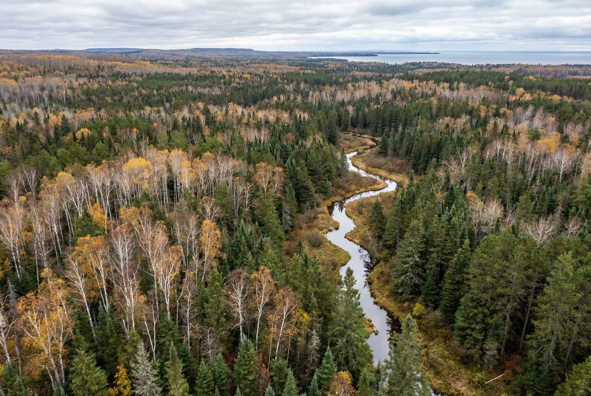 40 Acres – Douglas County, Wisconsin