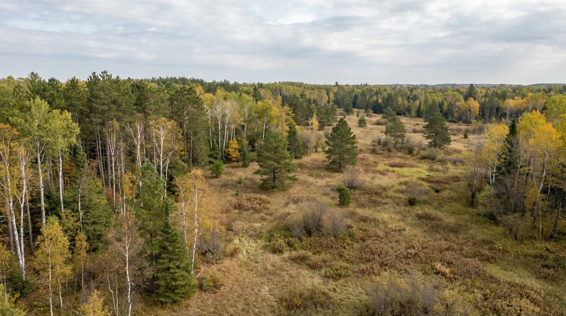 20 Acres in Douglas County, WI