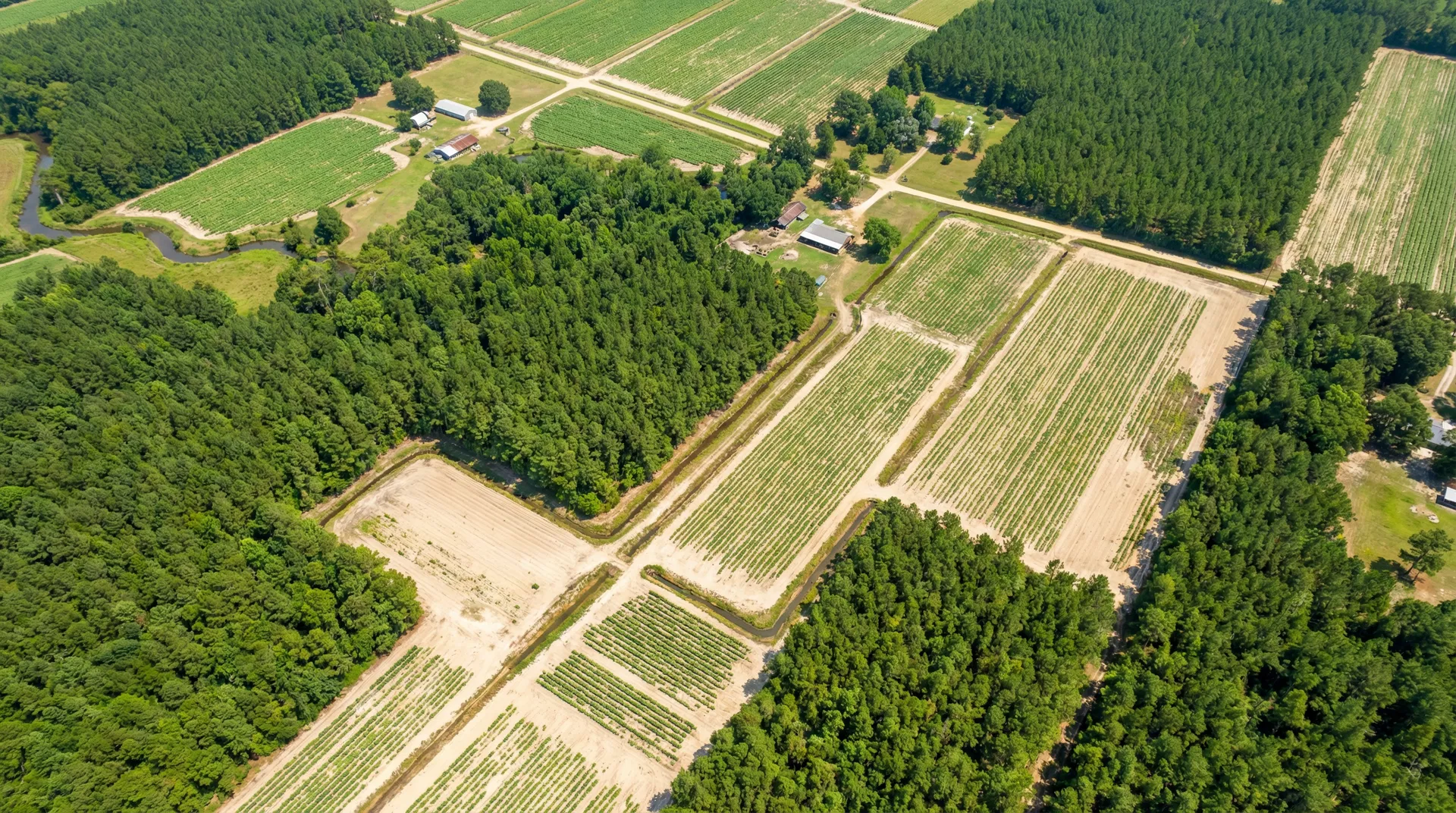 59.8 Acres – Duplin County, North Carolina