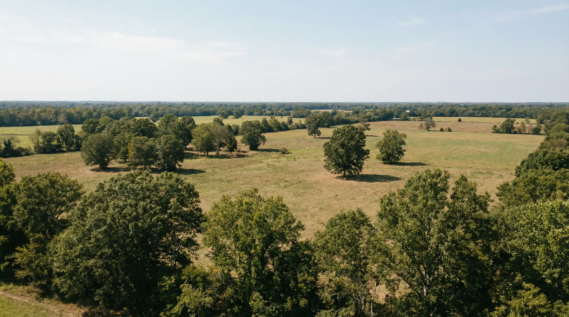 18 Acres in Dyer County, TN