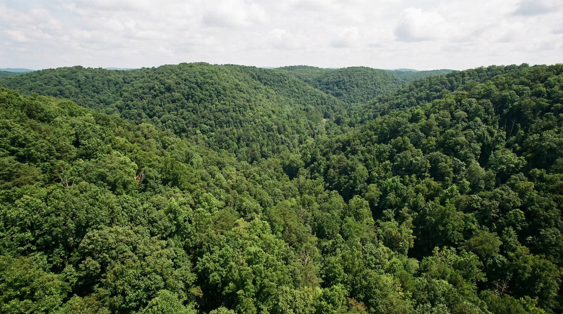 25 Acres in Fentress County, TN