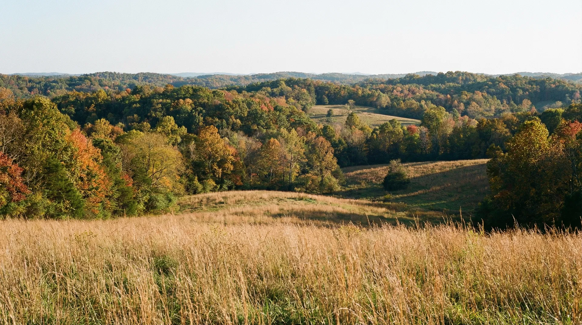 21.31 Acres in Franklin County, TN