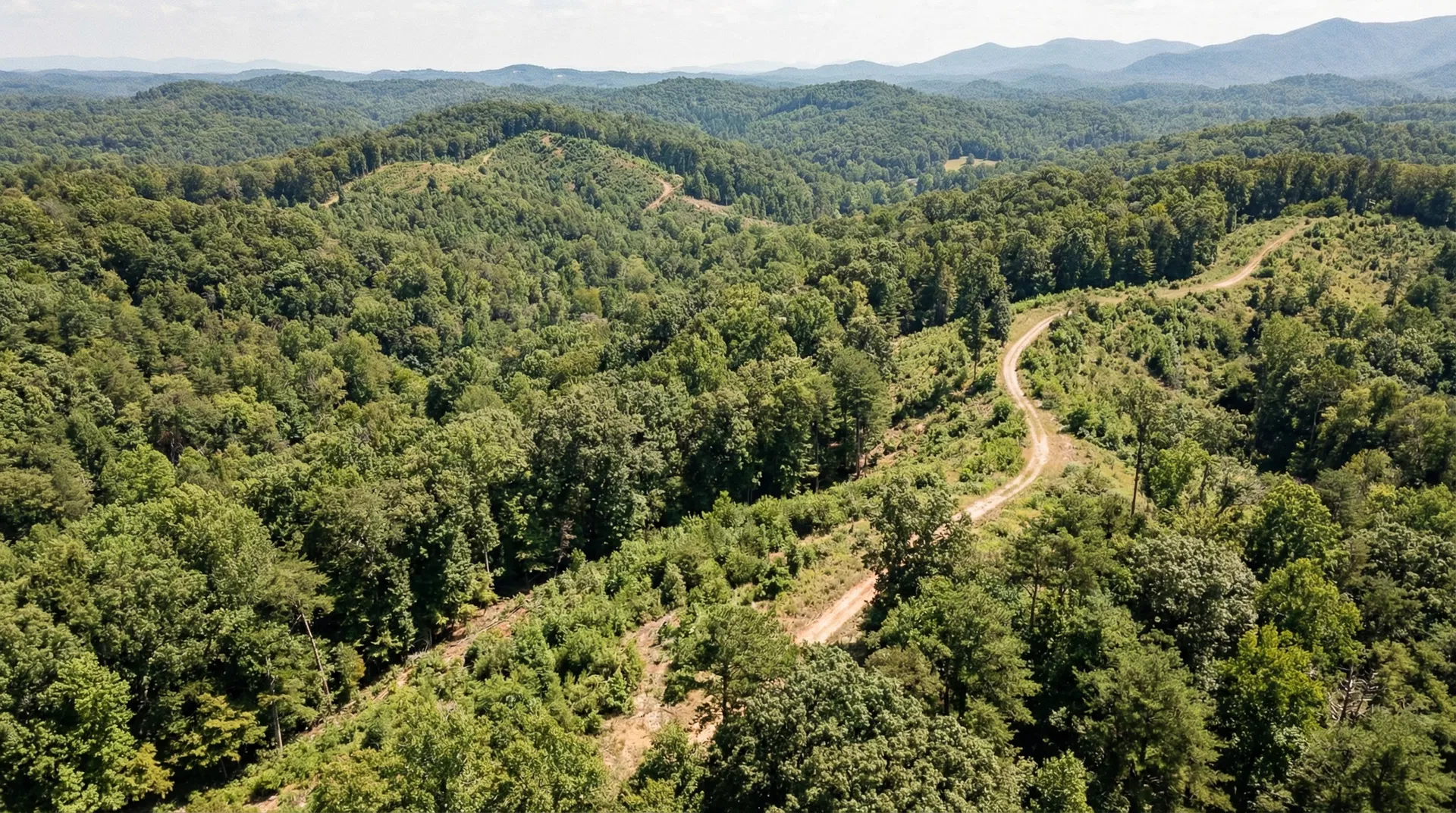 17.17 Acres in Gilmer County, GA